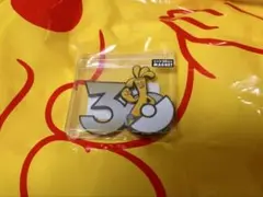 30th マグネット 中国ポケモンセンター限定 サーフゴー - メルカリ