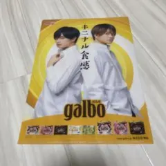 galbo ガルボ クリアファイル