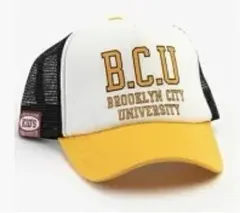 Item thumbnail for item c7e6304f-3231-4141-84dc-c3261057f4e5