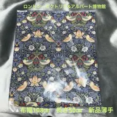 ⭐️ロンドン ヴィクトリア&アルバート⭐️シーチング 綿100%50cm