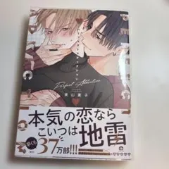 パーフェクトアディクション