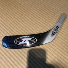 Item thumbnail for item 7a742ae7-7edc-488f-8e26-90055decfe5a