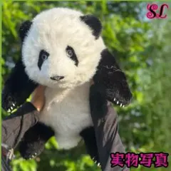 即購入可】平手友梨奈 ぬいぐるみ 着せ替えセット - メルカリ