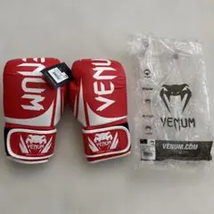 Item thumbnail for item 3947ae0e-a9ed-4afc-9a7f-a79d67122e1e