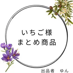 いちご様 リクエスト 2点 まとめ商品