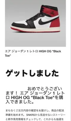 エアジョーダン1 レトロ　HIGH OG