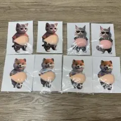 お腹ぷにぷにシール 柴犬 猫 ねこ ネコ おなかぷくぷくシール 3Dシール 8匹