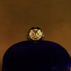 【超特級呪物】金獅子の覇気環 曰く付き 縁起物 呪物 逆転劇 霊石 開運