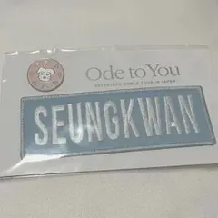 SEVENTEEN ワッペンバッジ&ピンバッジセット エスクプス - メルカリ