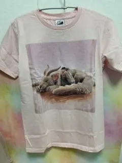 ハチミツ　スピッツ　30周年記念Tシャツ　ジャケットデザイン　草野マサムネ ハチミツ スピッツ 30周年記念Tシャツ ジャケットデザイン 草野