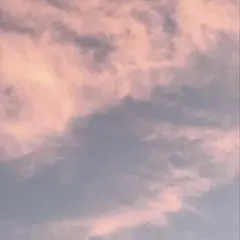 Item thumbnail for item 2ce43639-af69-4527-81ab-fada07738501