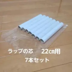 Item thumbnail for item 6fa45536-bbb9-457a-996a-1d4584dbbabd