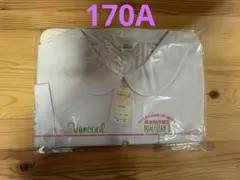 Vancool 女子丸襟スクールブラウス長袖　170A