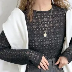 ストレッチ レース ショート Tシャツ ブラウス シアー シースルー