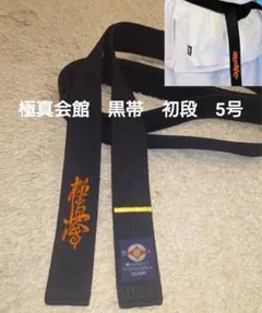 Item thumbnail for item f3f70538-bbb1-492e-8f04-e4deea3b0f10