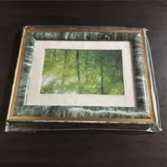 フォトフレーム　緑