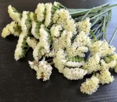 miyuu♡♡様専用♪