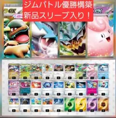 ポケモンカードJCS 優勝構築 ライコポン タケルライコex構築済みデッキ
