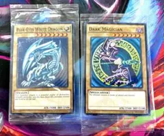 WCS2015未開封 ブラックマジシャン 青眼白龍セット遊戯王 - メルカリ