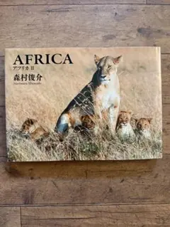 AFRICA Ⅱ 森村俊介 写真集｜アフリカ 写真集 大判 自然 動物 ライオン