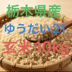 2026年最新】ゆうだい21の人気アイテム - メルカリ