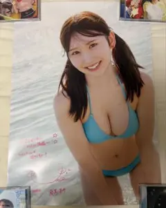 最終価格 超希少綾瀬はるか水着非売品特大ポスター - メルカリ