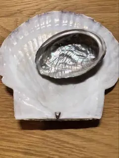 アワビとホタテの貝殻