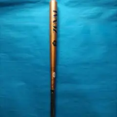 Item thumbnail for item 25d6461c-fd05-43a7-bb49-8e0e2f6a8f92