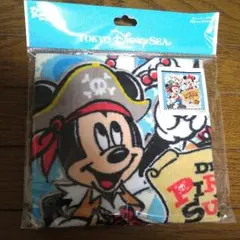 ディズニーシー、ランド　ウォッシュタオル二枚組