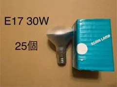 アサヒ ミニレフ球 25個セット