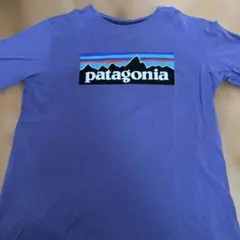 パタゴニア　Patagonia xxl