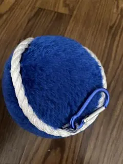 ドアラ　シッポ