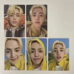 SEVENTEEN トレカ エスクプス セット SEVENTEEN エスクプス トレカセット まとめ売り - メルカリ