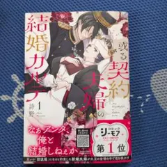 或る契約夫婦の結婚カルテ 1 - メルカリ
