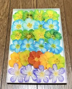 かなちゃん様 リクエスト 4点 まとめ商品