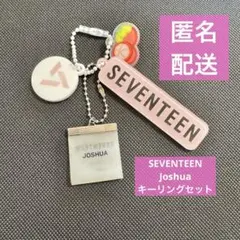 SEVENTEEN JOSHUA キーリング セット セブチ ジョシュア