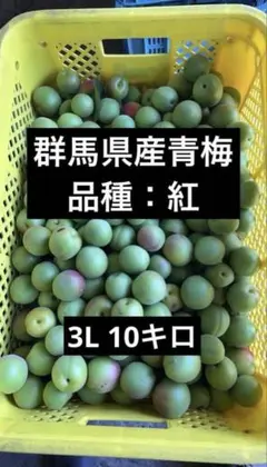 群馬県産　青梅　紅養老　農家直送　3Lサイズ　10kg 群馬県産 青梅 紅 農家直送 3Lサイズ 10kg - メルカリ
