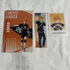【ハイキュー】日向翔陽　クリアブックマーク　冬制服＋特典