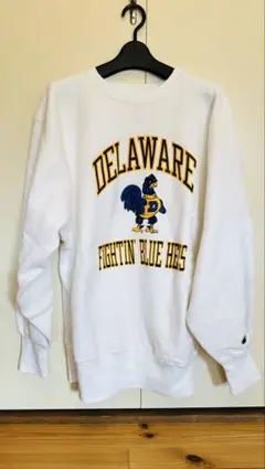 90's リバースウィーブ DELAWARE カレッジ ビンテージ USA製