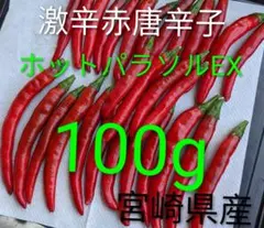 特別栽培】沖縄県産良品 激辛青唐辛子ホットパラソル 200g⭐️12時間