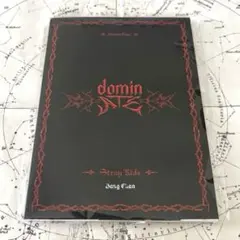 Straykids Domin ATE ポストカードブック バンチャン