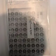 Item thumbnail for item ac10c181-b871-4e7a-8c30-c4c15ee7954a