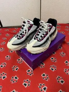 Nike SB Air Max 95 Cactus Flower エアマックス