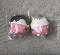 黒尾鉄朗 孤爪研磨 ぬいくじ てのりんず E賞