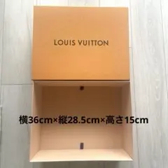 LOUIS VUITTON ギフトボックス　空き箱　大
