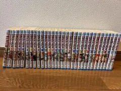 ☆ほぼ初版☆ワンピース全113巻全巻セット☆ - メルカリ