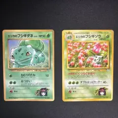 2025年最新】エリカのフシギソウの人気アイテム - メルカリ