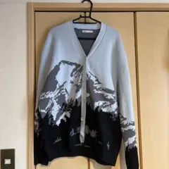 ZARA 山の景色 カーディガン M