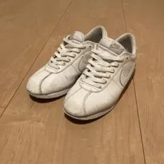 Item thumbnail for item 1c6c4f59-703a-470a-977c-89b96229bd2c