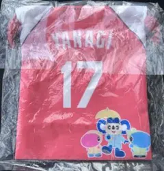 【★ま〜み★様専用】中日ドラゴンズ　ガールズシリーズ　きんちゃく　柳裕也投手